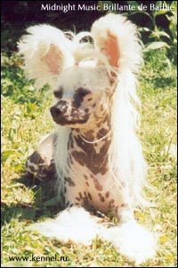 ��������� �������� ������ �����