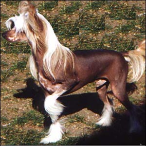 ��������� �������� ������