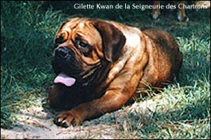 ��������� ��� Gilette Kwan de la Seigneurie des Chartrons