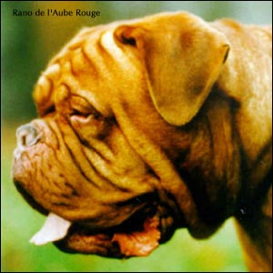 ��������� ��� Rano de l'Aube Rouge