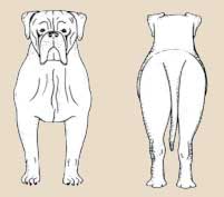 �������� ���������� ����