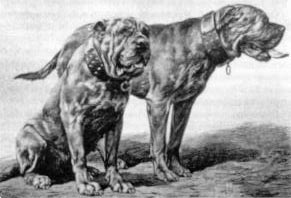 ����� � ������