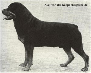 ��������� Axel von der Kappenberger Heide