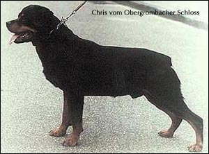 ��������� Chris vom Obergrombacherschloss