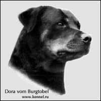 ��������� Dora vom Burgtobel