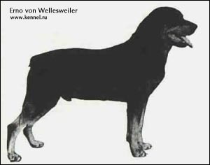 ��������� Erno von Wellesweiler