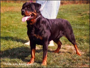 Hulda vom K&ouml;nigsgarten