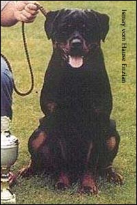 ��������� Ismay vom Hause Enzian