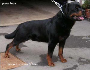 ��������� Janosh von der Scherau