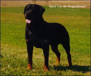 ��������� Karol von der Berghalbinsel